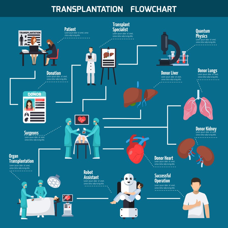 Liver Transplant